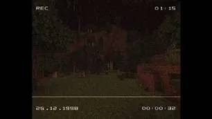 VHS Overlay