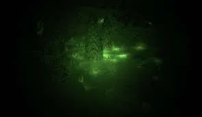 Loé's Night Vision
