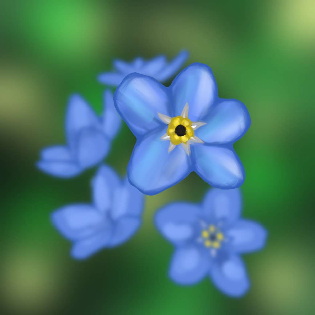 Forget-Me-Not Shaders