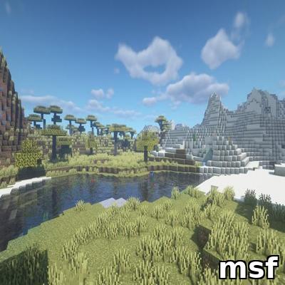 msf