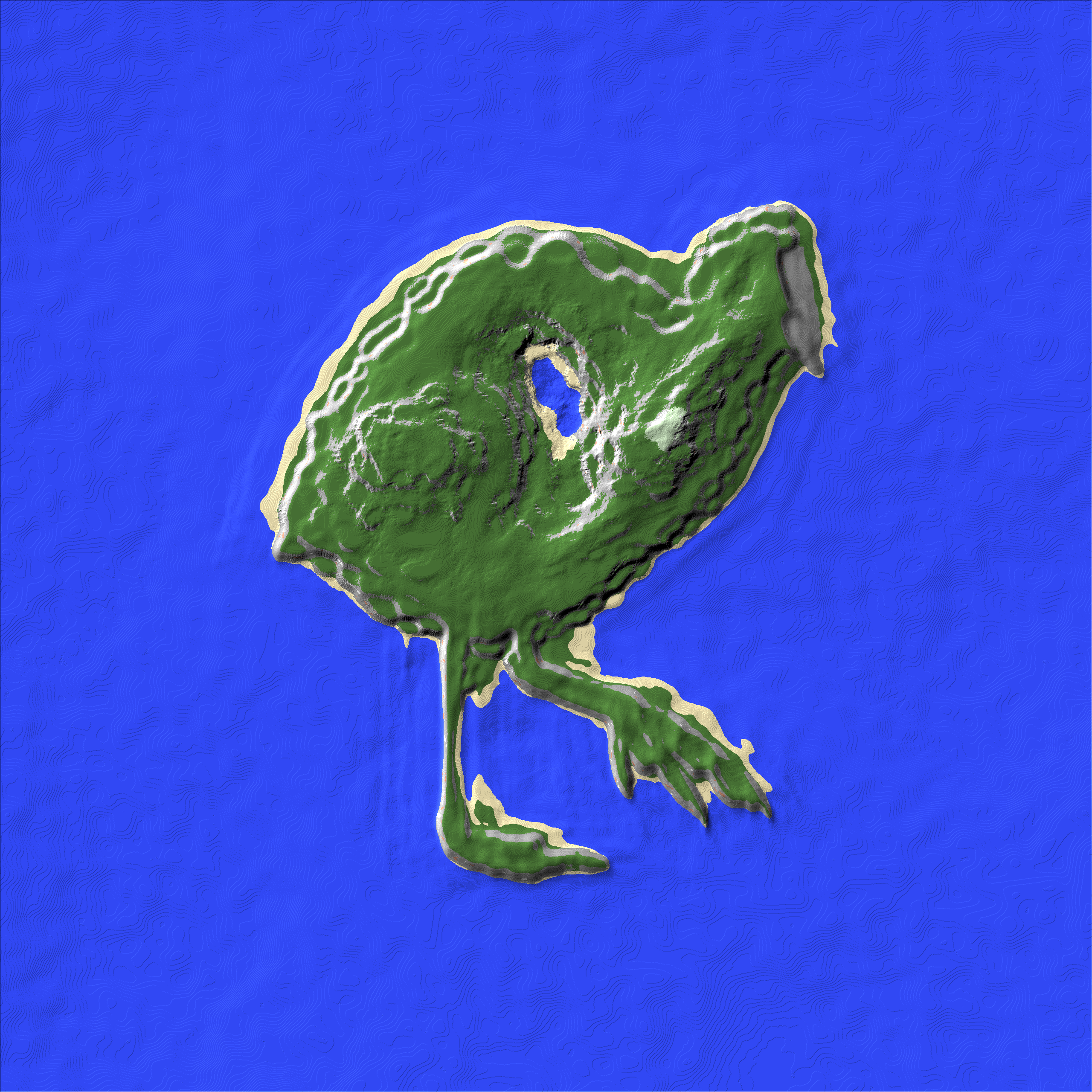 Coot Island