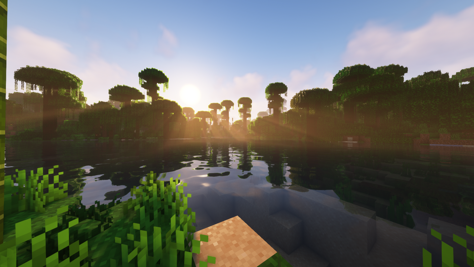 Immersed With Shaders